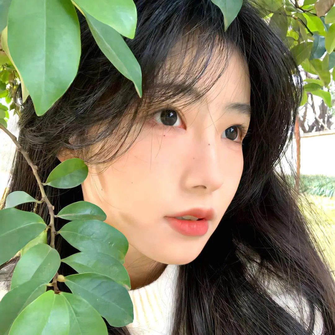 没有主母的第三天全府慌了