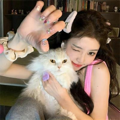 模范刑警第二季